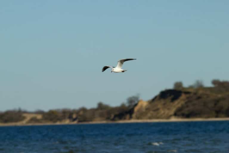 7 Fragen an Bernhard